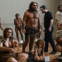 Human ancestor Lucy gets first European showing in Prague