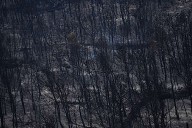 Firefighters battle to prevent reignition of France’s largest wildfire as residents return home
