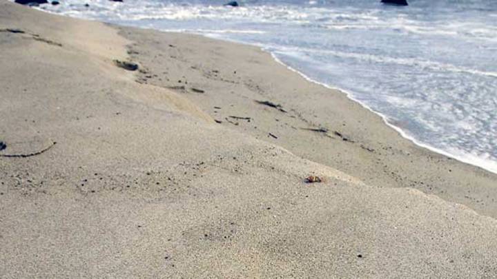 Nahant Short Beach water rescue