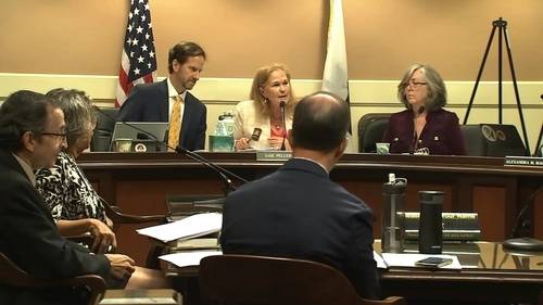 California redistricting hearing turns heated as Republicans mount opposition campaign