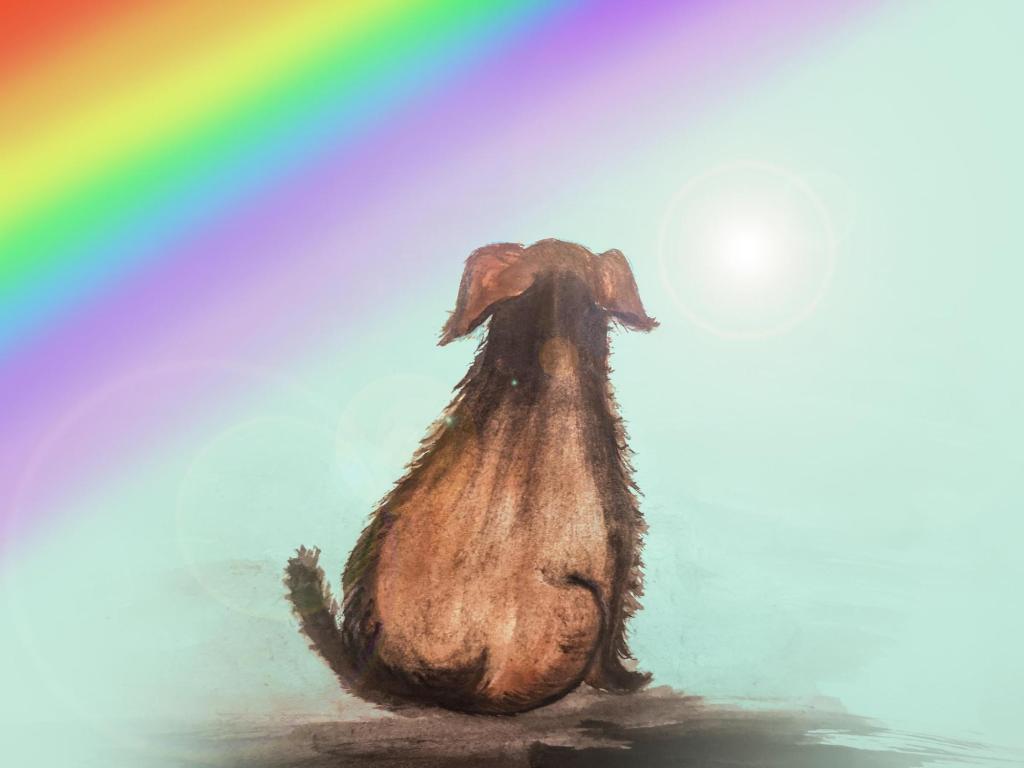 How do you know when it’s the right time to say goodbye to a beloved dog?