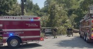 Massive tree falls in Dallas' Lakewood neighborhood, injuring woman in SUV and triggering safety concerns