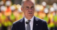 Gun-control advocates fear Mark Carney will delay buyback program