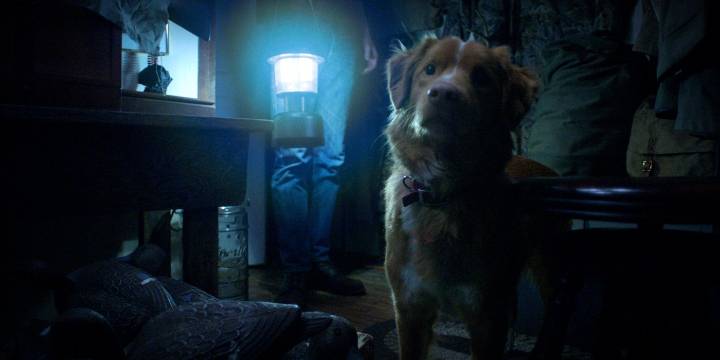 'Good Boy' Trailer Promises a Horror Experience Like No Other