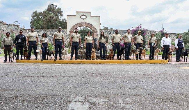Incorpora Agricultura 14 nuevos binomios caninos para prevenir plagas y enfermedades agropecuarias