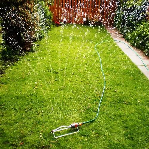Saugeen Shores Encourages Reduced Lawn Watering