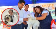 Parásitos internos en mascotas: ¿Cómo detectarlos y cuál es el más común?