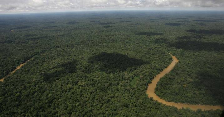 Ambientalistas temen que Noboa esté debilitando la reputación ecológica de Ecuador