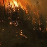 Woods Fire burns near Sedona; Coldwater Fire ignites by Clint's Well