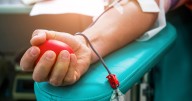 Blood donation appointments up 400% since Annunciation mass shooting