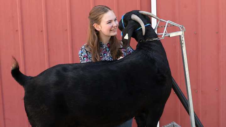 Sights and sounds from the 2025 Kitsap County Fair & Stampede