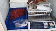 Decomisaron un cargamento de carne bovina y embutidos que era transportado sin la cadena de frío