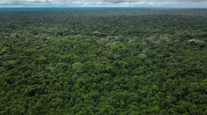 Ucayali inicia plan para gestionar de forma sostenible sus territorios forestales