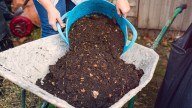 9 Brilliant Ways To Reuse Old Potting Soil Instead Of Tossing It Out