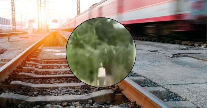 Supuesto fantasma aparece en video tomado a plena luz del día en las vías del tren Roca en Argentina
