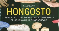 La CDMX celebra "Hongosto" con un mes de actividades para conocer sus hongos