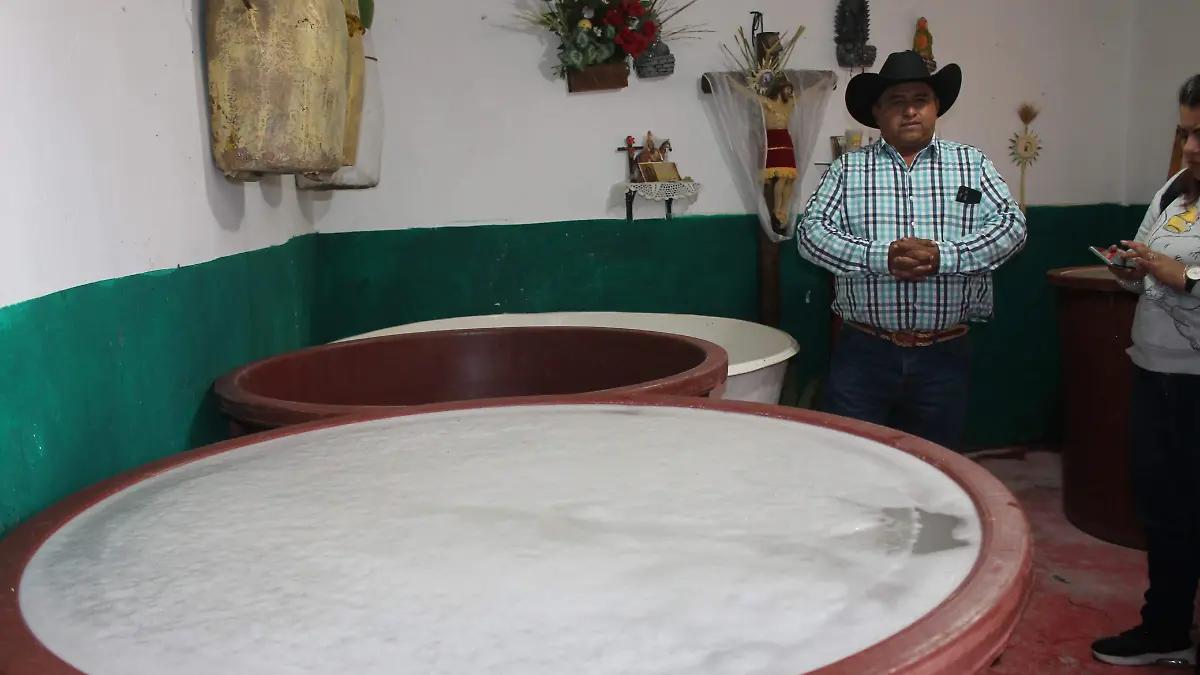 Del maguey al pulque, la tradición y técnica para mantener viva la bebida ancestral