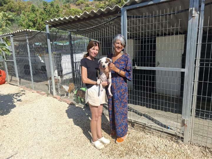 El Ayuntamiento y Fidelio trabajan para conseguir la adopción de todos los animales acogidos por la asociación