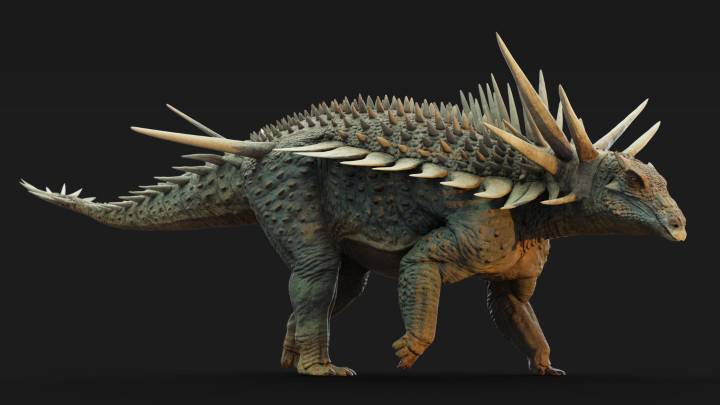 Spicomellus afer, el dinosaurio con una armadura corporal y un collar de púas de un metro