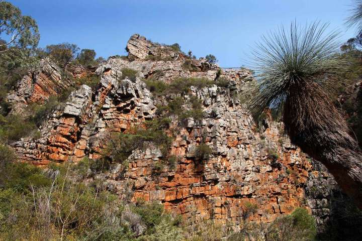 Father, 34, Falls to His Death While Picking Up Trash on Hike