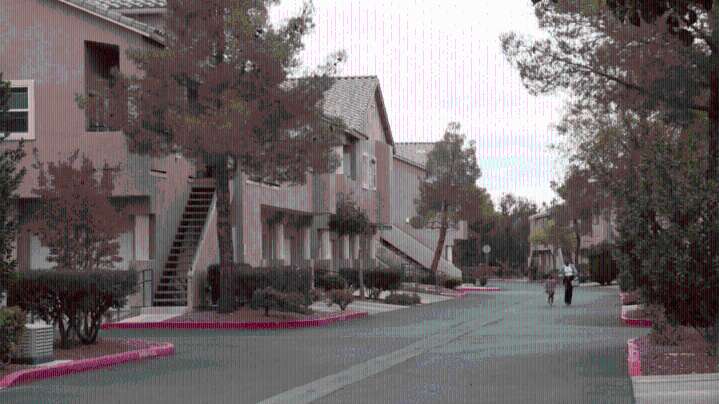 Las Vegas Vietnam veteran left paying the bill after HOA’s tree roots cause issue