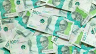 LINK para verificar si hace parte del programa Renta Básica que entregará 230.000 pesos mensuales