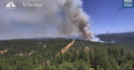 Tiger Fire near Pioneer forces evacuation order in Amador County
