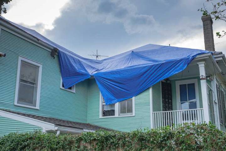 Louisiana Department of Insurance launches updated mobile app ahead of peak hurricane season