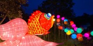 Cleveland Metroparks Zoo extends Asian Lantern Festival dates