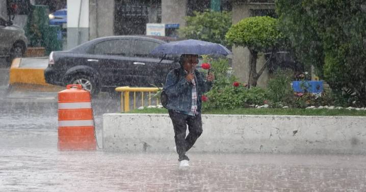 Lluvias con descargas eléctricas y fuertes vientos provocan afectaciones en CDMX