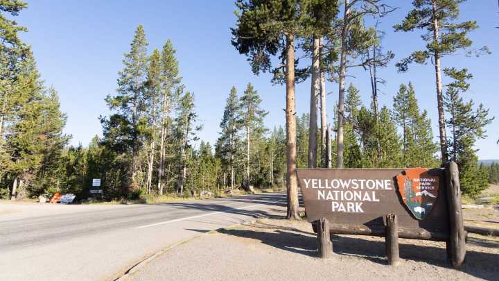 Sculpture depicting Elon Musk spotted in Yellowstone, other parks