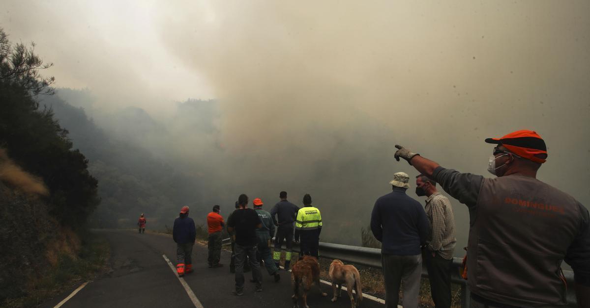 Más de 31.100 evacuados por los incendios en el Estado: "Te vas con miedo, con impotencia"