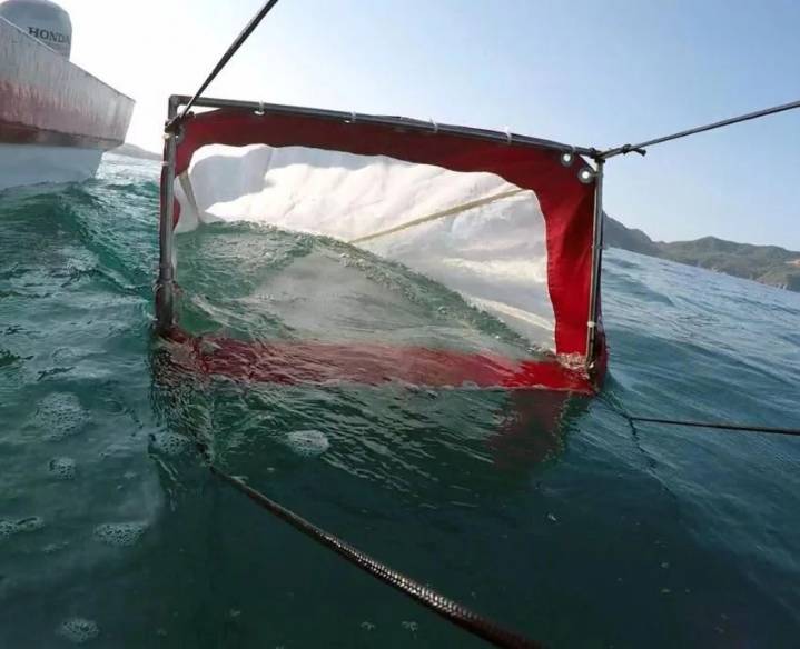 Microplásticos amenazan el ecosistema marino de Jalisco