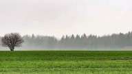 Se esperan lluvias importantes en el centro del país y hay temor por cómo impactarán en la campaña agrícola
