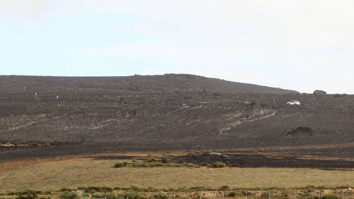 Viento a favor para acabar con los siete fuegos en España