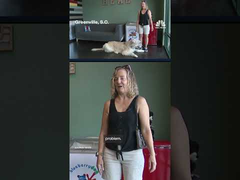 Chiropractor eases pets’ pains as surgery alternative