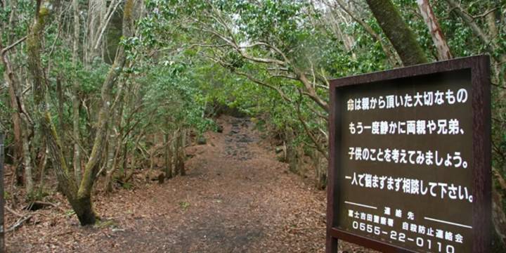 Los interrogantes de Aokigahara, el bosque denso y silencioso de Japón que envuelve desapariciones intrigantes y leyendas ancestrales