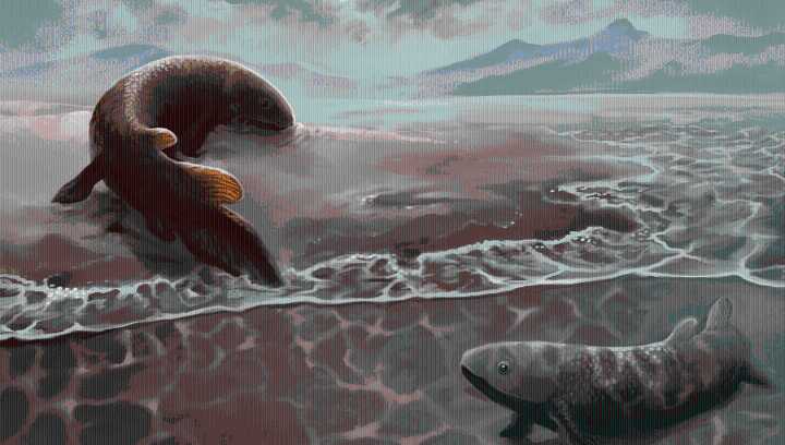 Vertebrates May Have Been On Land 10 Million Years Longer Than We Thought, Fish Fossil Tracks Suggest