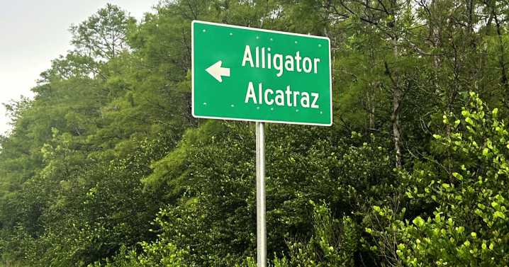 Federal judge halts Alligator Alcatraz expansion in Florida ruling