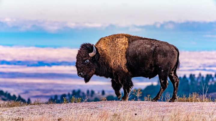 This Little-Known South Dakota National Park Rivals The Badlands With Epic Landscapes, Spectacular Sunsets, And More