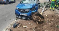 Detenido un conductor que circulaba a gran velocidad por provocar un accidente en Cala Rajada