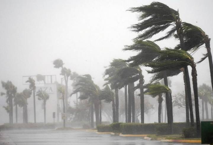 Citizens Insurance warns of being 'irreparably harmed'