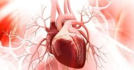 More Women In Study Reveals Heart Risk For Men
