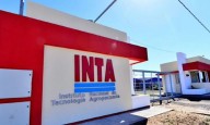 Un juez frenó los cambios en el INTA: por seis meses no habrá despidos