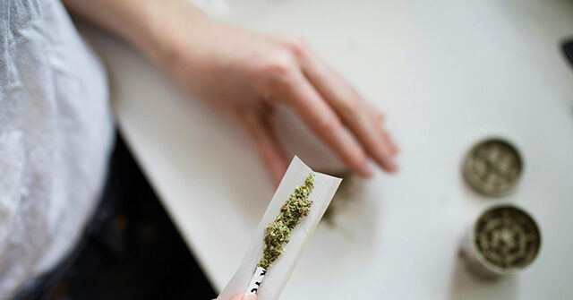 Trump Admin Considers Reclassifying Cannabis as Less Dangerous Drug