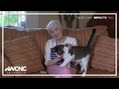 Adopting pets shows paw-sitive health benefits for Charlotte seniors