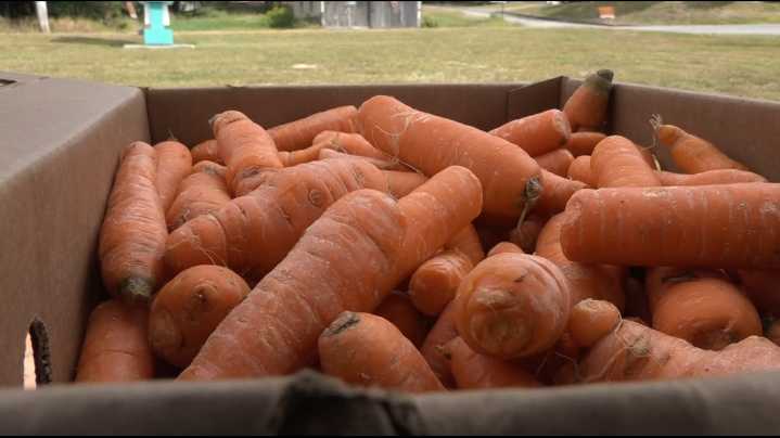 Federal SNAP cuts increase food insecurity concerns in Maine
