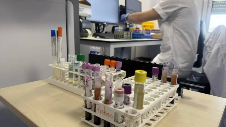 Detectados mosquitos con el virus del Nilo en Lebrija: estos son los municipios andaluces en alerta por riesgo alto