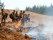 2 firefighters battling Washington state fire arrested by Border Patrol