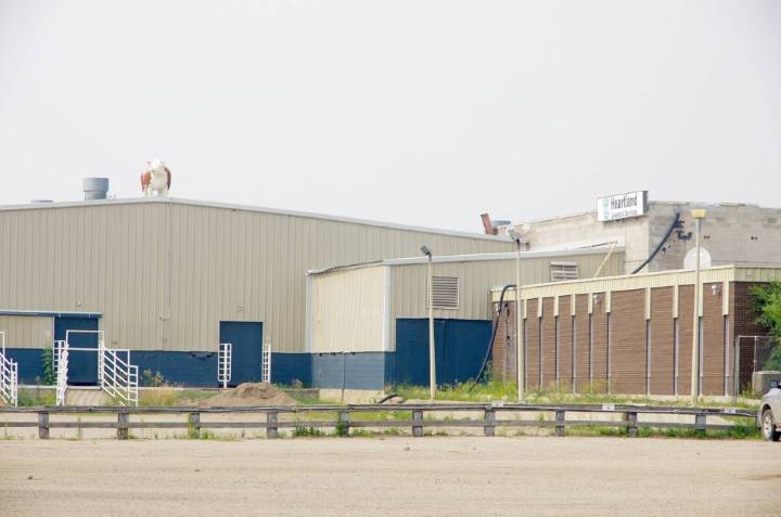 Heartland Livestock Services closes Brandon auction mart